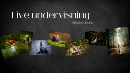 Live undervisning 17. september 2024 kl 20:00