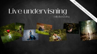 Live undervisning 28. august 2024 - og optaget video af undervisningen.