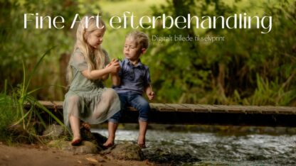Digitalt billede til selvprint - med Fine Art efterbehandling