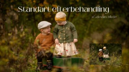Standart efterbehandling af udendørs billeder